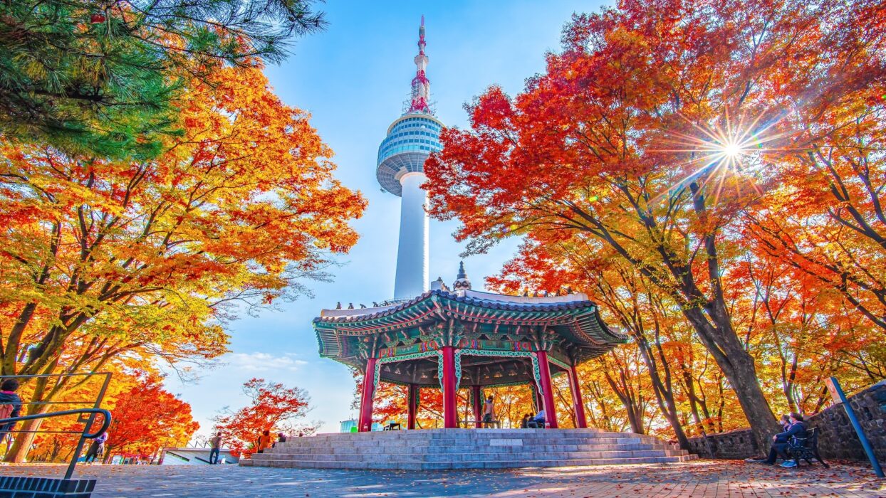 销售：韩国DID及精品语音线路
